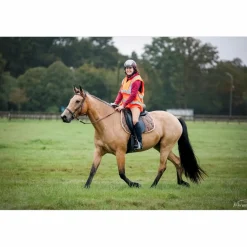 selle dressage*Tekna New