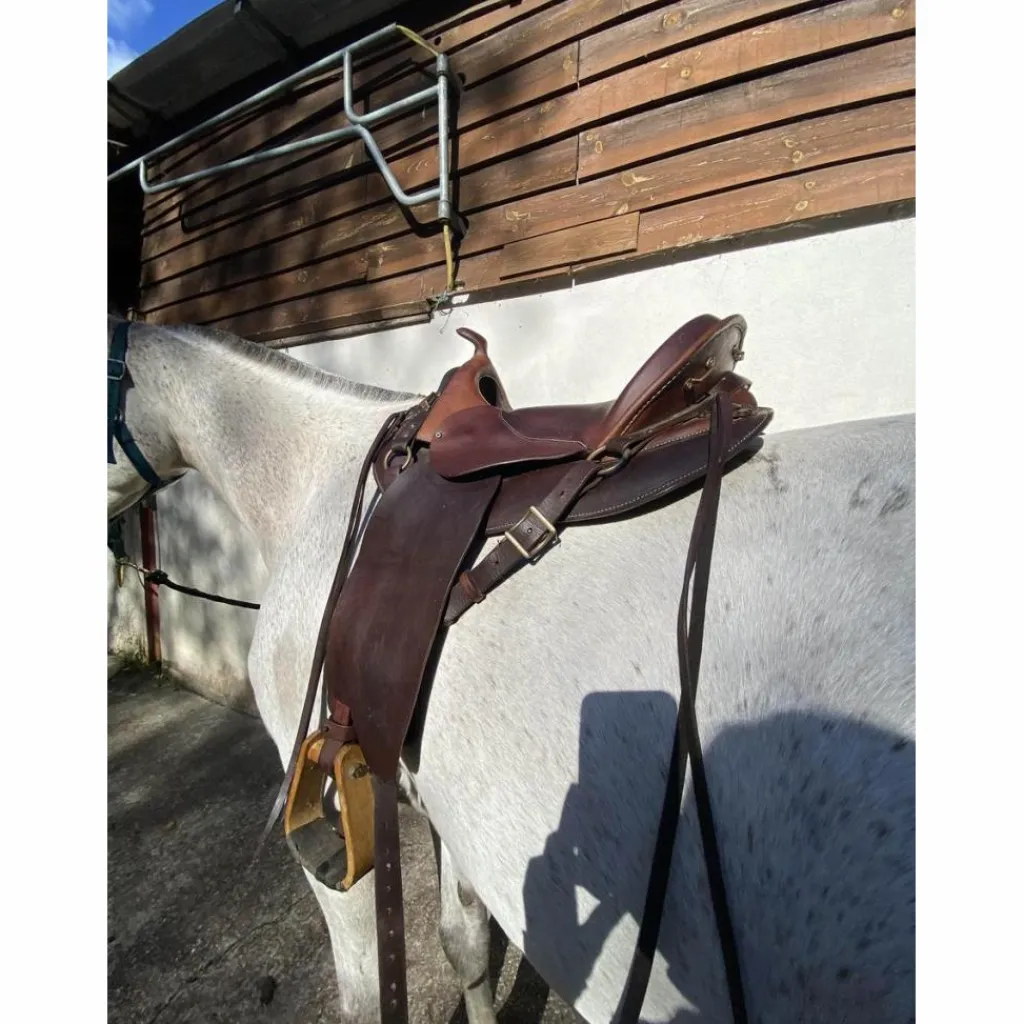 - Marque inconnue - Selles De Randonnée>selle TH taille 17,5 numérotée