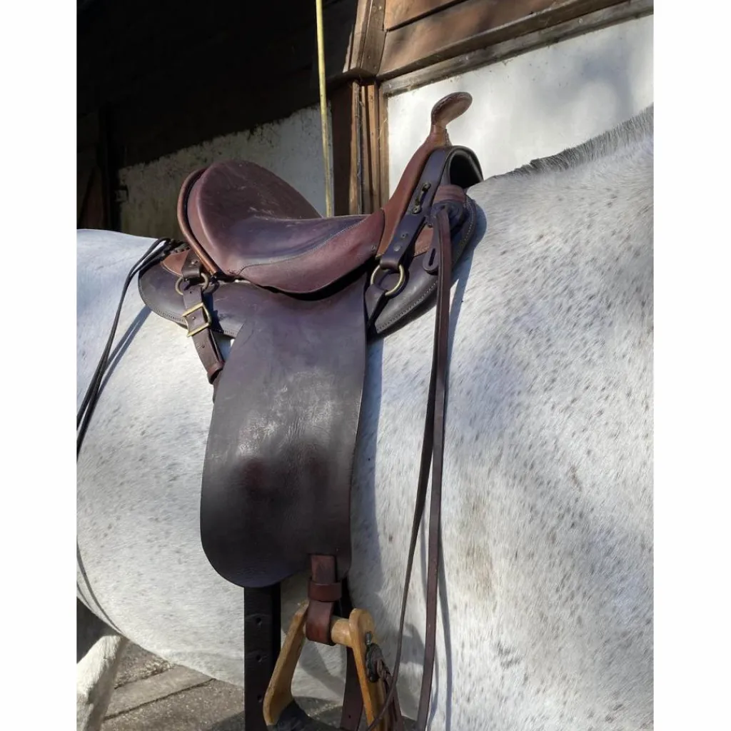 - Marque inconnue - Selles De Randonnée>selle TH taille 17,5 numérotée