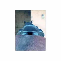Thorowgood Selles De Dressage>Selle