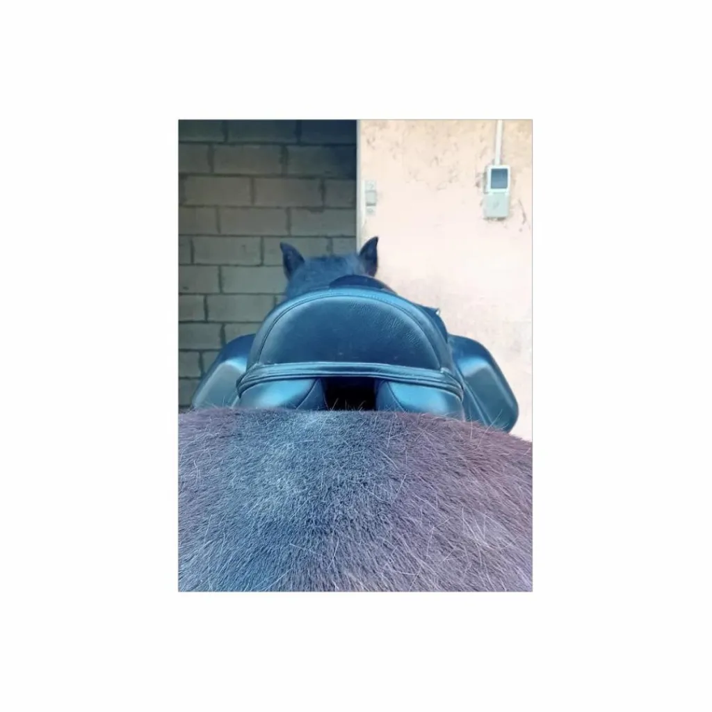 Thorowgood Selles De Dressage>Selle