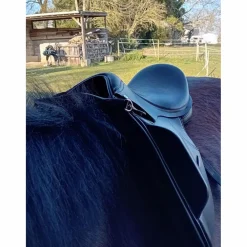 Thorowgood Selles De Dressage><noscript><img width=
