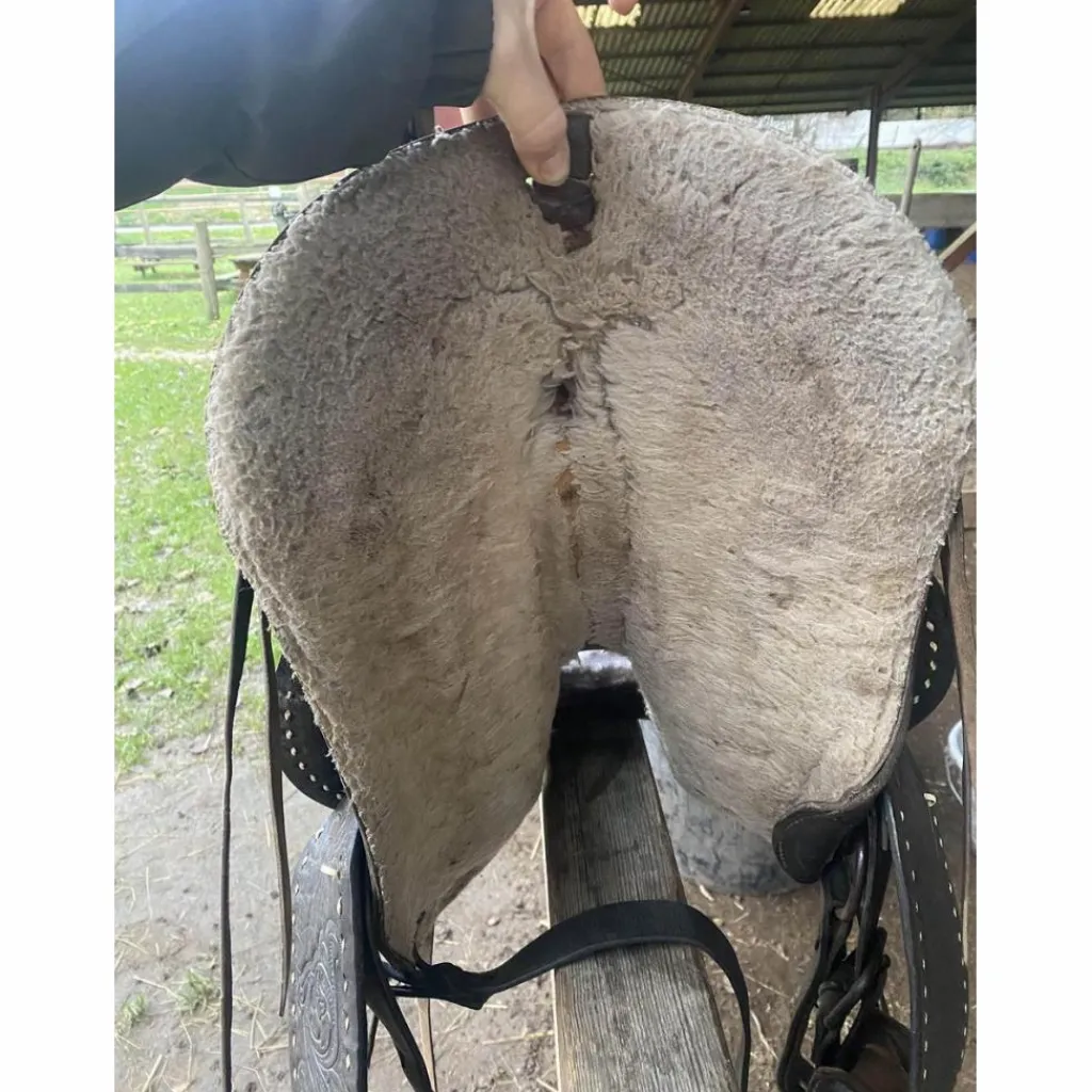 - Marque inconnue - Selles De Western>selle western