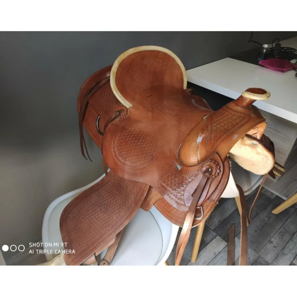 Farnam Selles De Western>Selle Western
