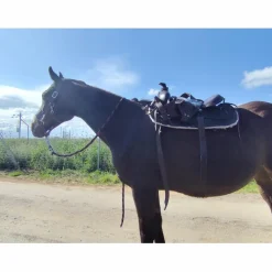 - Marque inconnue - Selles De Western>Selle western