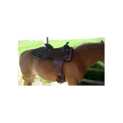 Selles De Western>Selle western