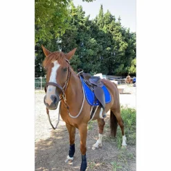 - Marque inconnue - Selles De Western>Selle western
