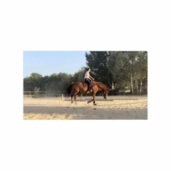 - Marque inconnue - Selles De Western><noscript><img width=