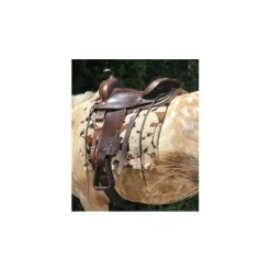 - Marque inconnue - Selles De Western><noscript><img width=