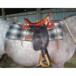 Selle western de randonnée et sacoches*- Marque inconnue - Sale