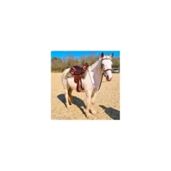 - Marque inconnue - Selles De Western><noscript><img width=