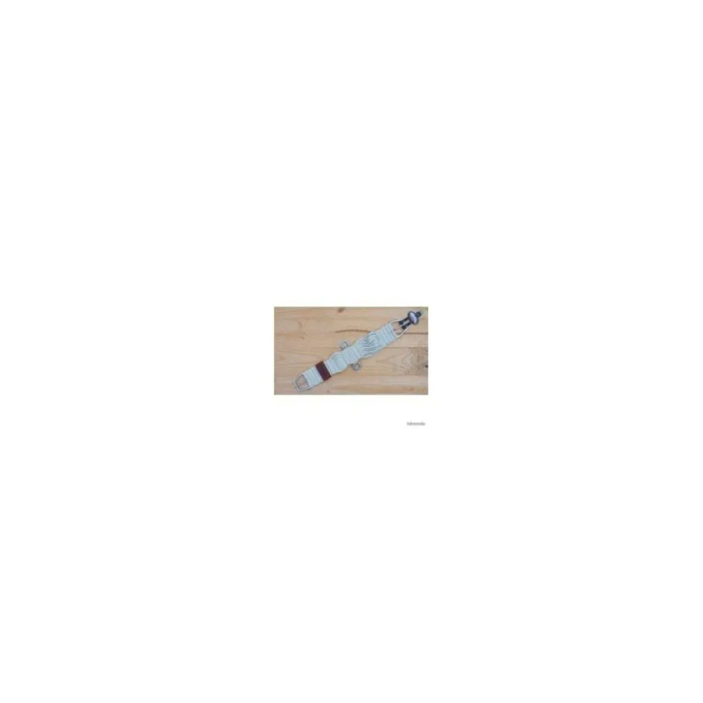 - Marque inconnue - Selles De Western>Selle western Pool's 3010