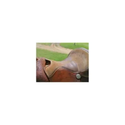 Selles De Western><noscript><img width=
