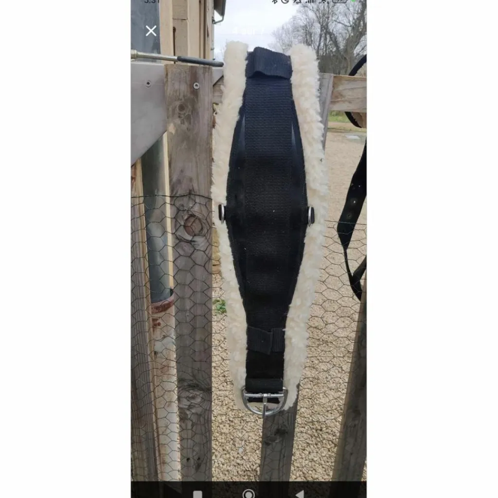 Selle western + sangle*Wintec Online