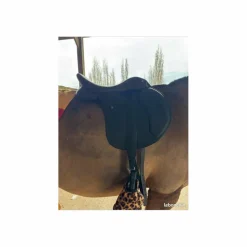 Selle 500 hart 17pouces année 2025*Wintec Sale