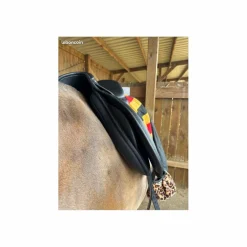 Selle 500 hart 17pouces année 2025*Wintec Sale