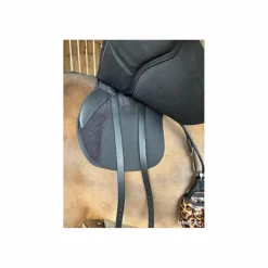 Selle 500 hart 17pouces année 2025*Wintec Sale