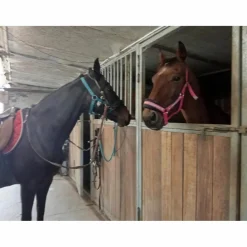 Sidepull*After Riding Outlet