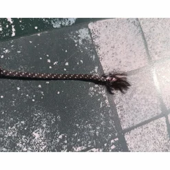 Waldhausen Cravaches / Sticks / Chambrières><noscript><img width=