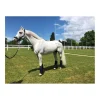 Support ligamentaire stable boots - Topaze Anterieur*ProConfort