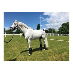 Support ligamentaire stable boots - Topaze Anterieur*ProConfort