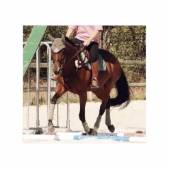 BR Ensemble Tapis + Bonnet>Tapis + Bonnet
