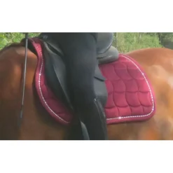 Tapis + Bonnet Bordeaux PARFAIT ÉTAT*Lamicell Clearance