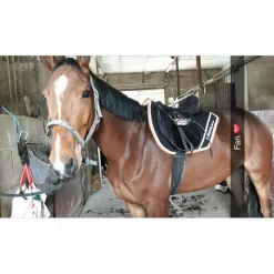 Tapis + bonnet long paddoc sport noir et orange*Paddock Sport Hot