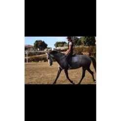 Felix Bhuler Ensemble Tapis + Bonnet>Tapis bonnet