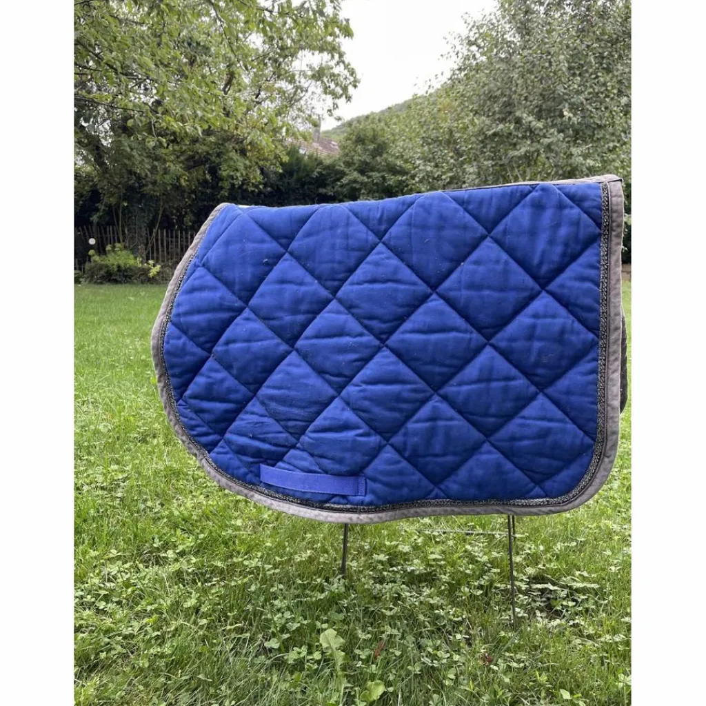 Cristina Sport Tapis>tapis bleu et gris