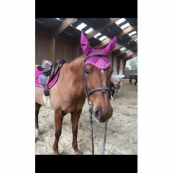 Lamicell Ensemble Tapis + Bonnet>Tapis de selle rose avec bonnet et amortisseur FOUGANZA assorti