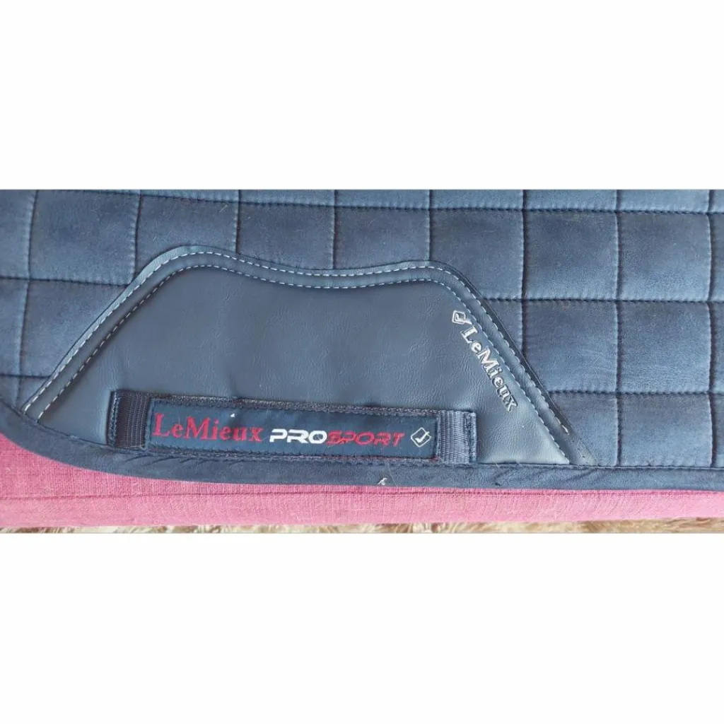 Lemieux Tapis>Tapis dressage