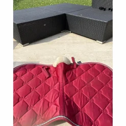 Felix Bhuler Tapis><noscript><img width=