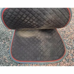 GEM Tapis><noscript><img width=