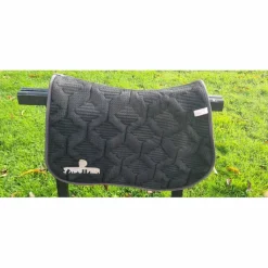 Tapis*Kentucky Sale