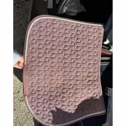 Kentucky Tapis>tapis