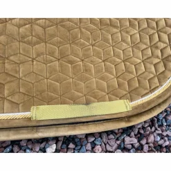 Kentucky Tapis><noscript><img width=