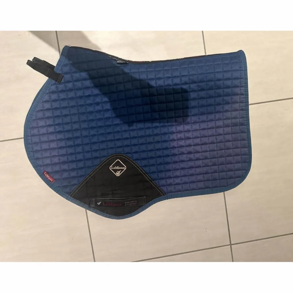 Lemieux Tapis>Tapis bleu