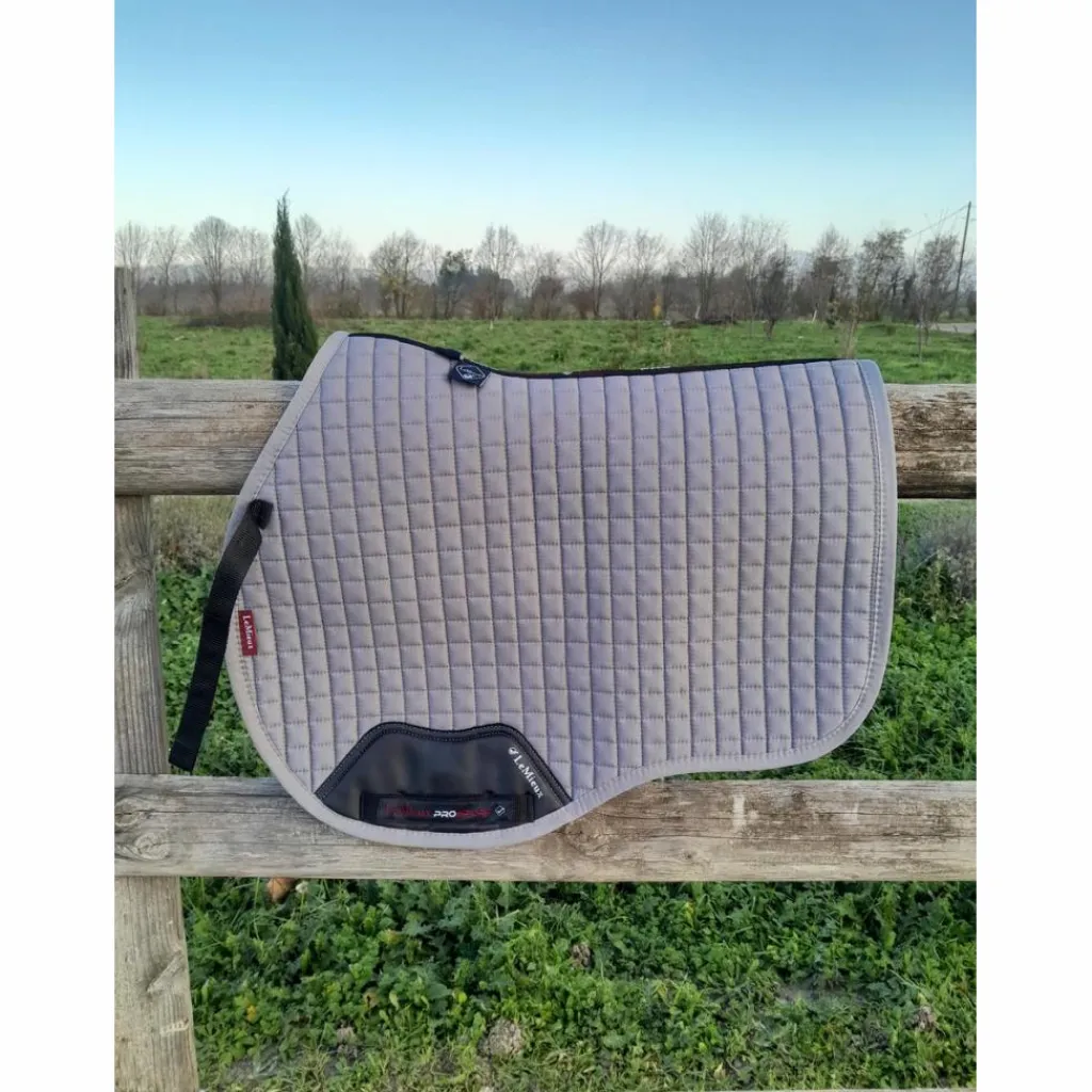 Tapis gris*Lemieux Sale