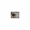 Tapis Paddock et bonnet équiline*Paddock Sport Sale