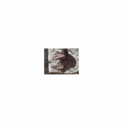 Tapis Paddock et bonnet équiline*Paddock Sport Sale