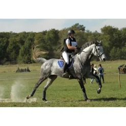 Paddock Sport Ensemble Tapis + Bonnet>Tapis