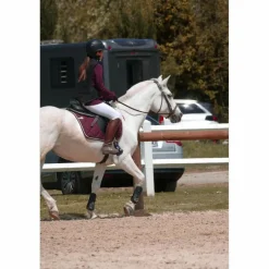 Paddock Sport Tapis>Tapis