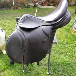 t8 modèle standard*Thorowgood Best