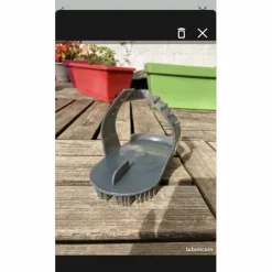 Fouganza Brosses>Étrille