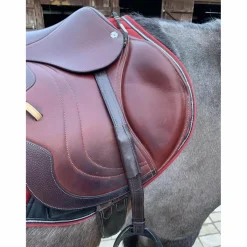 Eric Thomas Etrivières>Étrivière dressage