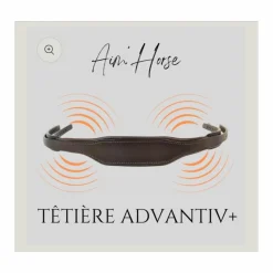 - Marque inconnue - Accessoires>Têtière Aim'horse