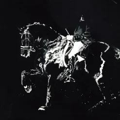Hermes Autres>Vente tableaux chevaux