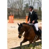 HorsePilot Vestes De Concours>veste concours horse pilot