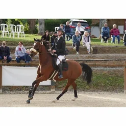 HorsePilot Vestes De Concours><noscript><img width=